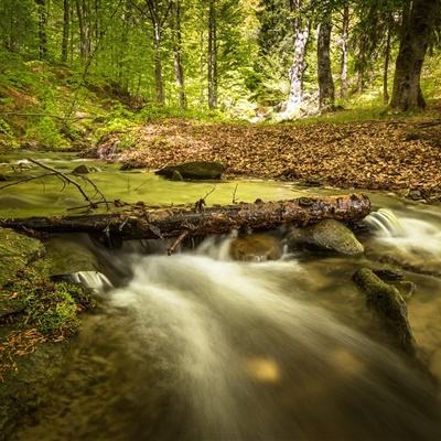 中年不发福！51岁景岗山紧身衣秀健硕身材