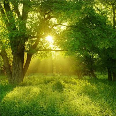 心源性猝死黄金抢救时间仅4分钟